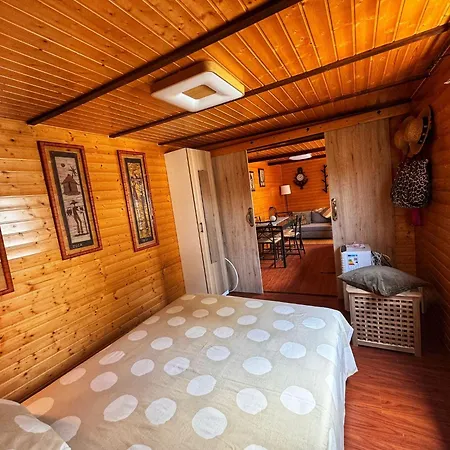 Y Lofts Makana *